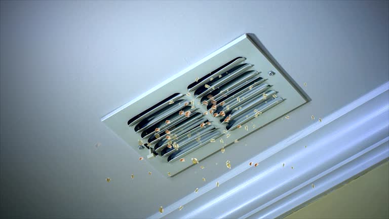 Best Air Duct Cleaning Near Me  in Deerfield, MI