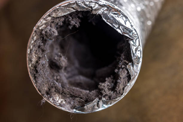 Best Commercial Air Duct Cleaning  in Deerfield, MI